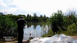 Ловля на Свимбейт.2023..