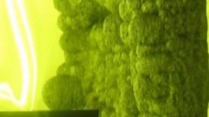 Вспучивание огнезащитной краски