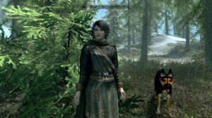 SKYRIM Pandorable's Sofia Replacer 🍺 Visual follower overhaul XBOX 2022