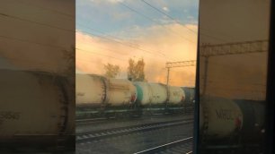 РЖД. Россия из окна поезда. Ярославль-Москва. RUSSIAN RAILWAYS. Russia from the train window.
