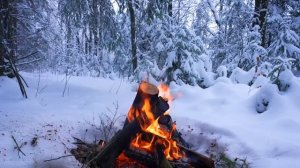 ? Костер в зимнем лесу с горящими поленьями и звуками природы.