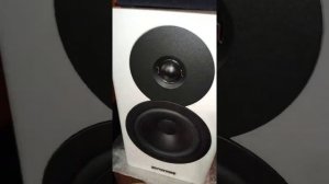 dynaudio evoke 10