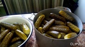 Что делать если помутнел рассол в огурцах? Спасаем огурцы!!!