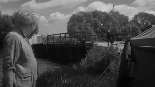 Алешкина любовь