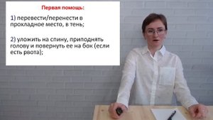 4 урок. Солнце – наш друг? Тепловые и солнечные удары у детей.