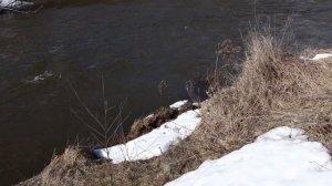 Река Тьма, Тверская область