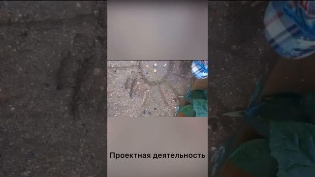 Воспитатели России. Молодые профессионалы.