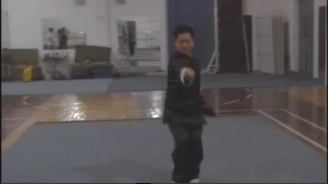Синъицюань мастер Лу Фуцзюнь ушу // Xingyiquan master Lu Fujun wushu