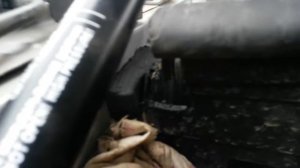 Газовые упоры капота на Ford Fusion от Лады Калины седан