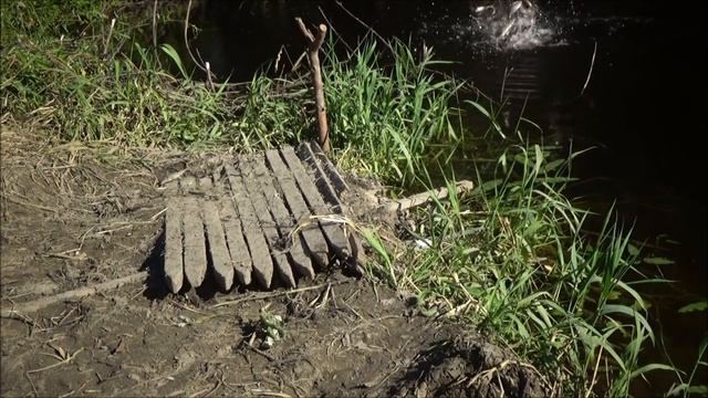 Рыбалка на Паук Подъёмник.Рассекретил секретные места Сибирского странника. Карась,Сазан,Окунь