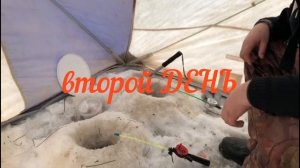 Рыбалка с ночёвкой / Белое море / пос. Пертоминск / 15.01.2021г.