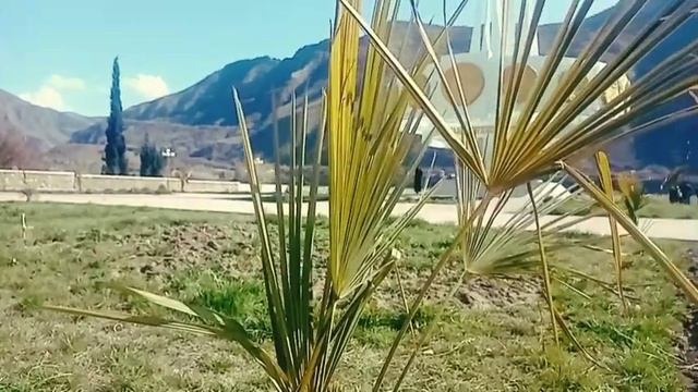 туй дар норак / гурухи чавонон дабал доира ударник саксафон кралнет карнай sadoi norak 2022 смотреть онлайн