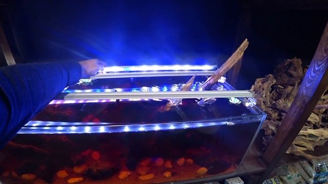 Обзор оборудования аквариумов из черной комнаты смотреть онлайн