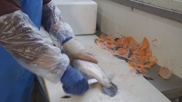 Полный РАСЧЕТ ЭКОНОМИКИ выращивания ФОРЕЛИ от ИКРИНКИ до МАГАЗИНА