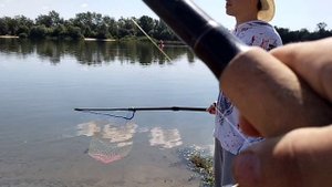 РЫБАЛКА на ПЕЛЕНГАСА на ДОНУ!!! ОХОТА за ПЕЛЕНГАСА в реке ДОН!!!