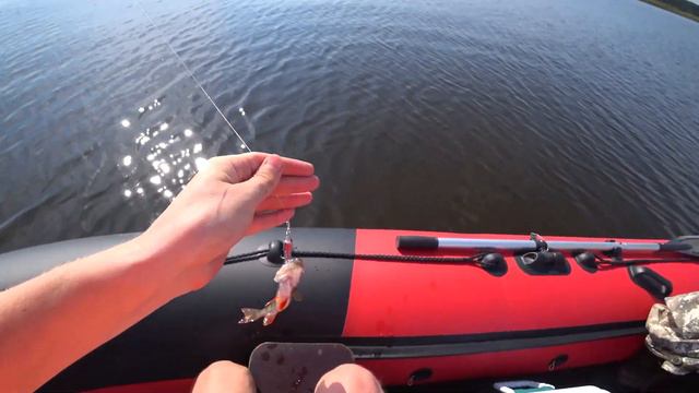 Воблер Mr. Musurok Lures&Rods (55 мм 6,2 гр) на Рыбинском водохранилище. смотреть онлайн