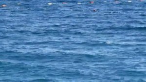 ХОЧУ НА МОРЕ!  АВТОР ВИДЕО ОЛЬГА РУДНЕВА.mp4