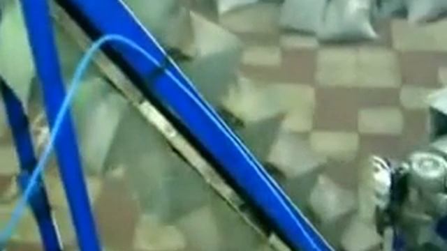 Бизнес по производству и продаже жареных семечек
