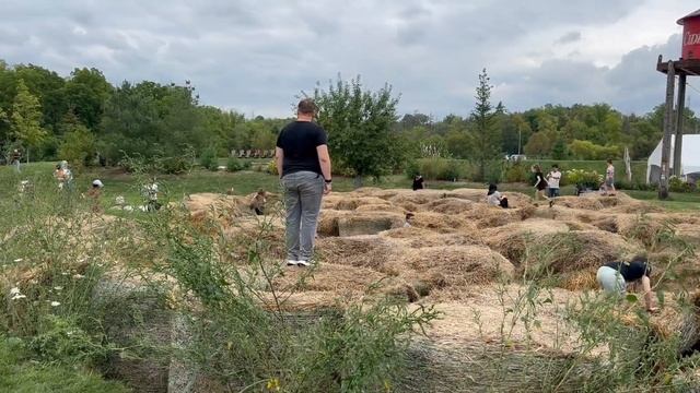 КАНАДА. СЕНТЯБРЬ. ЯБЛОЧНАЯ ФЕРМА. ЕДА В ШКОЛЕ. смотреть онлайн