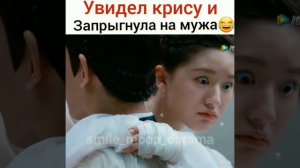 роман тигра и розы