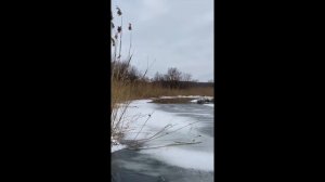 Острогожский район, Воронежская область, 29 января 2024 год