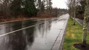 BMW E39 540i Exhaust