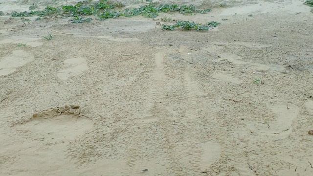 RC Rock Crawler vs Monster Truck | Remote Control Car | 2wd vs 4wd RC Car