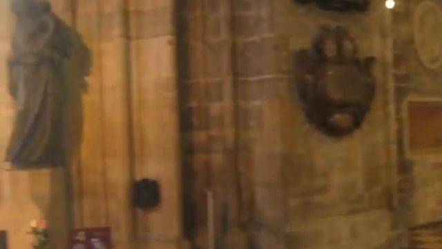 Stephansdom Wien St. Stephens Cathedral Vienna - a beautiful moment