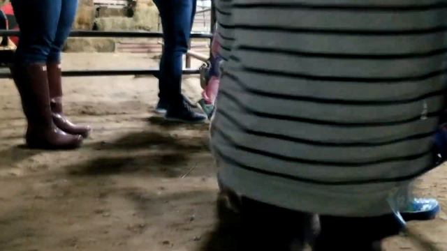 Ферма с ЕДИНОРОГОМ и Лошадками катаемся и веселимся/Horse farm with a Unicorn riding and having fun смотреть онлайн