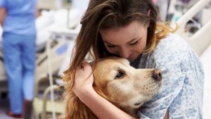 КЕМ РАБОТАЮТ СОБАКИ? | ПРОФЕССИИ СОБАК