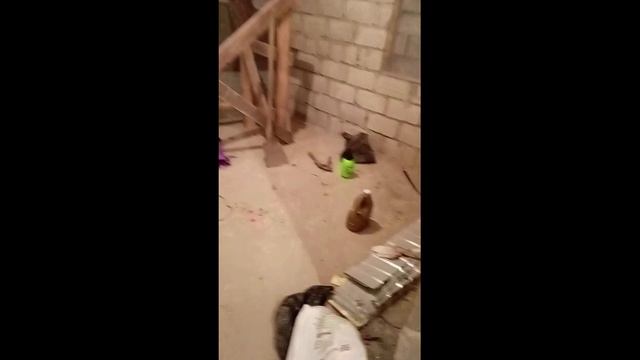 Электромонтажные работы