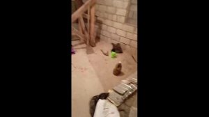 Электромонтажные работы