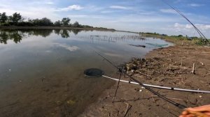 РЫБАЛКА В УЗБЕКИСТАНЕ, ШУРЮЗЯК, НЕОЖИДАННАЯ ВСТРЕЧА С САЗАНОМ