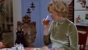 Кот Сэйлем  - пора худеть