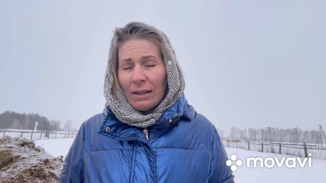 Городские лодыри, в деревне работать не хотят #бык #телята #корова #сарай #ферма #деревенскаяжизнь смотреть онлайн