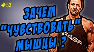 нейромышечная связь. как правильно тренироваться