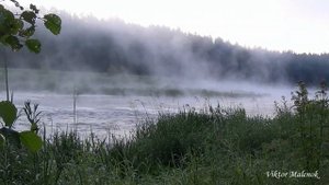 Beautiful nature and live sounds of the river murmuring in the morning with a fog over the water