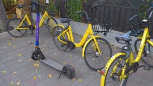 Как арендовать велосипед и электросамокат в Адлере. Самый выгодный способ проката