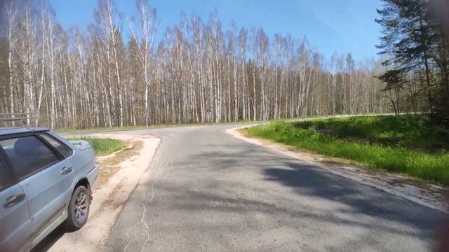 Нашествие шелкопряда,🐛#ШЕЛКОПРЯД #ВЛАДИМИРСКАЯОБЛАСТЬ #гусьхрустальный #гусеницы #бетствие