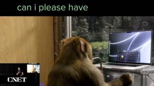 Илон Маск показал чипированную обезьяну