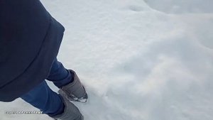 Народный способ защиты саженцев яблони от мышей зимой.