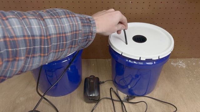 How to Build a Hydroponic System Under $30 - Deep Water Culture Hydroponics