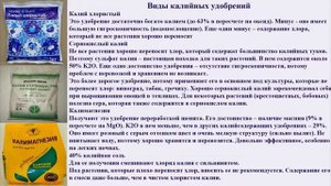 Калийные удобрения. Особенности применения