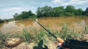 Нові приманки з Аліекспресс. Рибалка після повені на озері