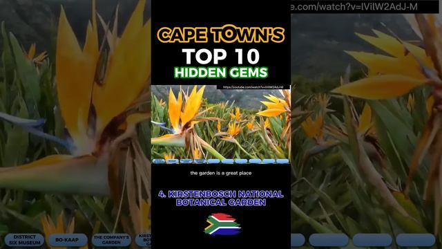 #4 KIRSTENBOSCH NATIONAL BOTANICAL GARDEN - Top 10 Hidden Gems of CAPE TOWN, SOUTH AFRICA