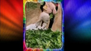 Немножко не расчитал.