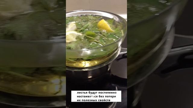 Как заварить чай из крапивы и сохранить пользу. Healthy nettle tea