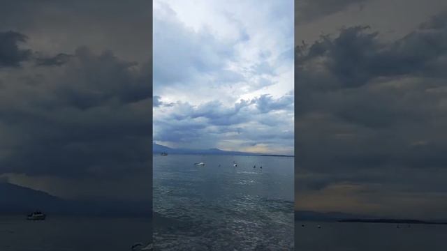 Италия,Ломбардия,озеро Lago di Garda.Лебеди