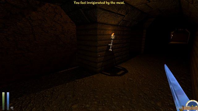 Daggerfall Unity: Whats the worst that could happen?