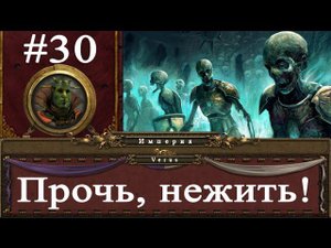 Прохождение за Империю Total War: Warhammer - #30